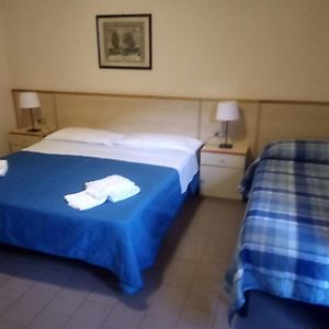 Il LUPO DI MARE